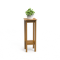 Botanic Perch  | Teakwood  Plant Stand